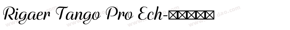 Rigaer Tango Pro Ech字体转换
